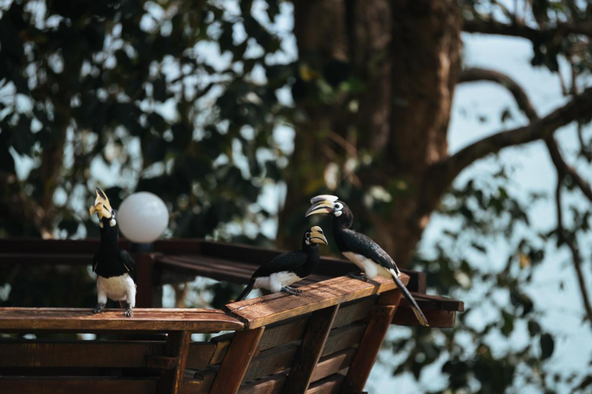 Phayamas Private Beach Resort And Island Brew - Adults Only Koh Phayam Exterior foto